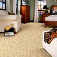 Carpet Cleaning in Torrance